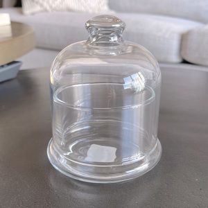 Mini Glass Cloche - Set of Two